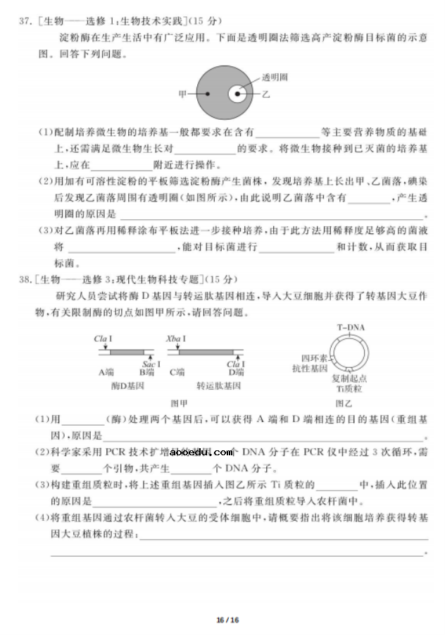 2020届广东高三理科综合第四次模拟试题