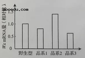 2020年山东新高考全国1卷生物试题