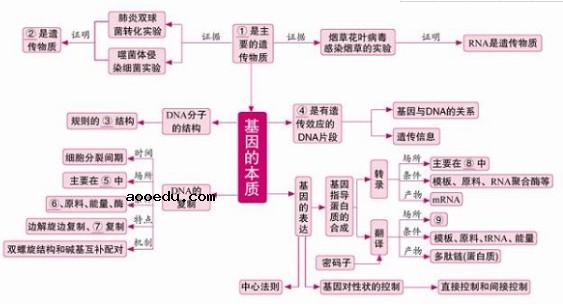 生物必修二知识框架图 高中生物必修二知识点总结