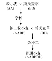 2020广西高考理综试题