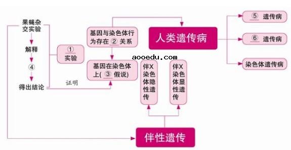 生物必修二知识框架图 高中生物必修二知识点总结