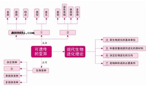 生物必修二知识框架图 高中生物必修二知识点总结