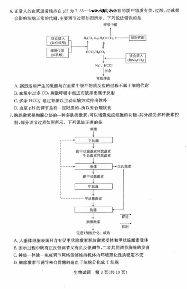 2020山东高三生物开学模拟试题