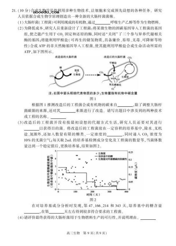 2020北京朝阳高三生物一模试题