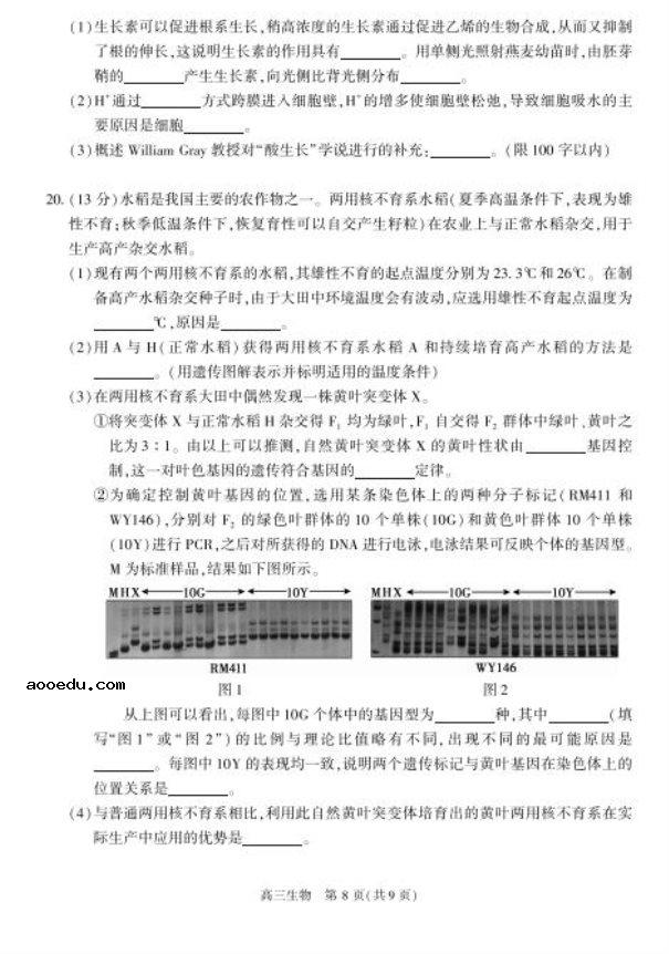 2020北京朝阳高三生物一模试题