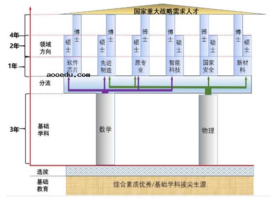 重庆大学2020强基计划招生简章及报名条件