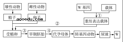 2020广西高考理综试题