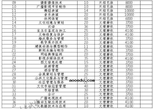 2021四川文化产业职业学院单招专业及招生计划