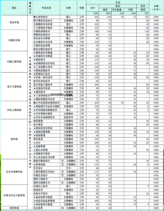 2020年武汉软件工程职业学院招生专业及学费