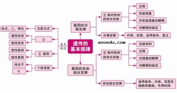 生物必修二知识框架图 高中生物必修二知识点总结