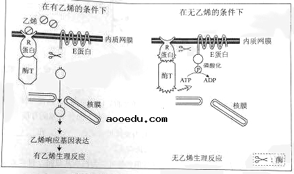 2019年高考理综压轴模拟试题（含答案）