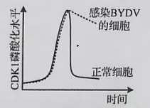 2020年山东新高考全国1卷生物试题