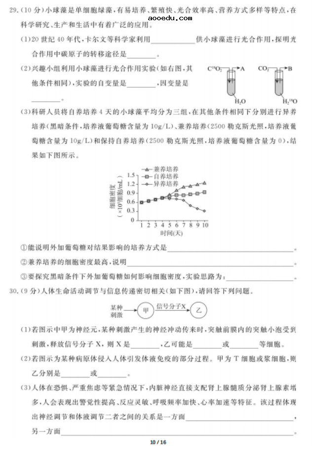 2020届广东高三理科综合第四次模拟试题