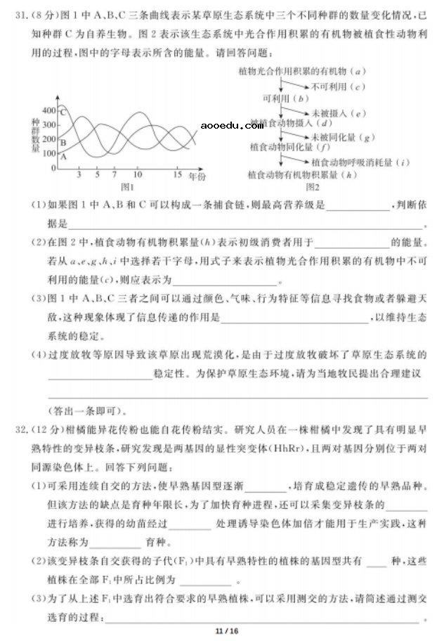 2020届广东高三理科综合第四次模拟试题