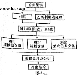 2021年广东高考生物试题【word精校版】