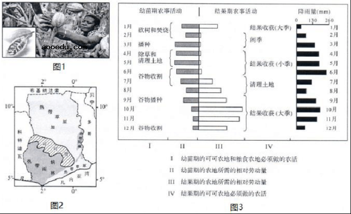 2021年山东新高考地理模拟试卷