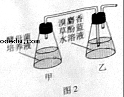 2021年广东高考生物试题【word精校版】