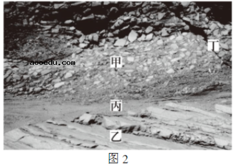 2021年山东新高考地理模拟试卷