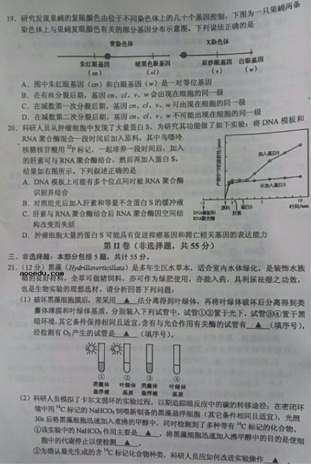 2021江苏高考生物冲刺试题