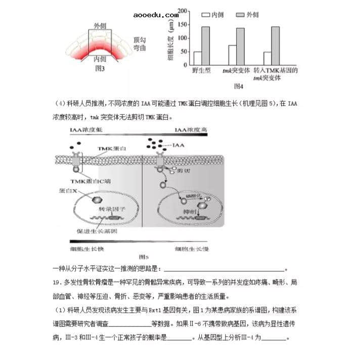 2021北京市高考生物压轴卷及答案解析