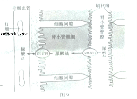 2021年广东高考生物试题【word精校版】