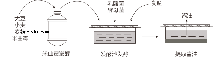 2021年青海高考理综试题【word精校版】