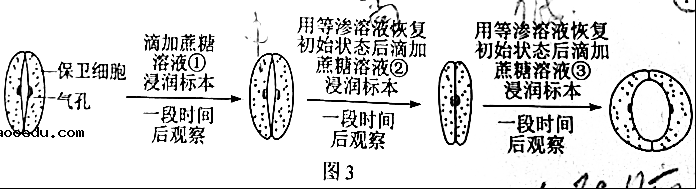 2021年广东高考生物试题【word精校版】