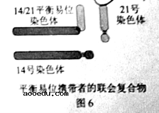 2021年广东高考生物试题【word精校版】