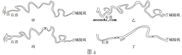 2021年山东新高考地理模拟试卷