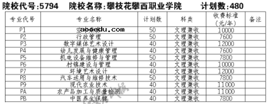 2021攀枝花攀西职业学院单招专业及招生计划