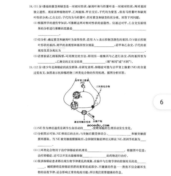 2021湖南高考生物模拟试卷及答案