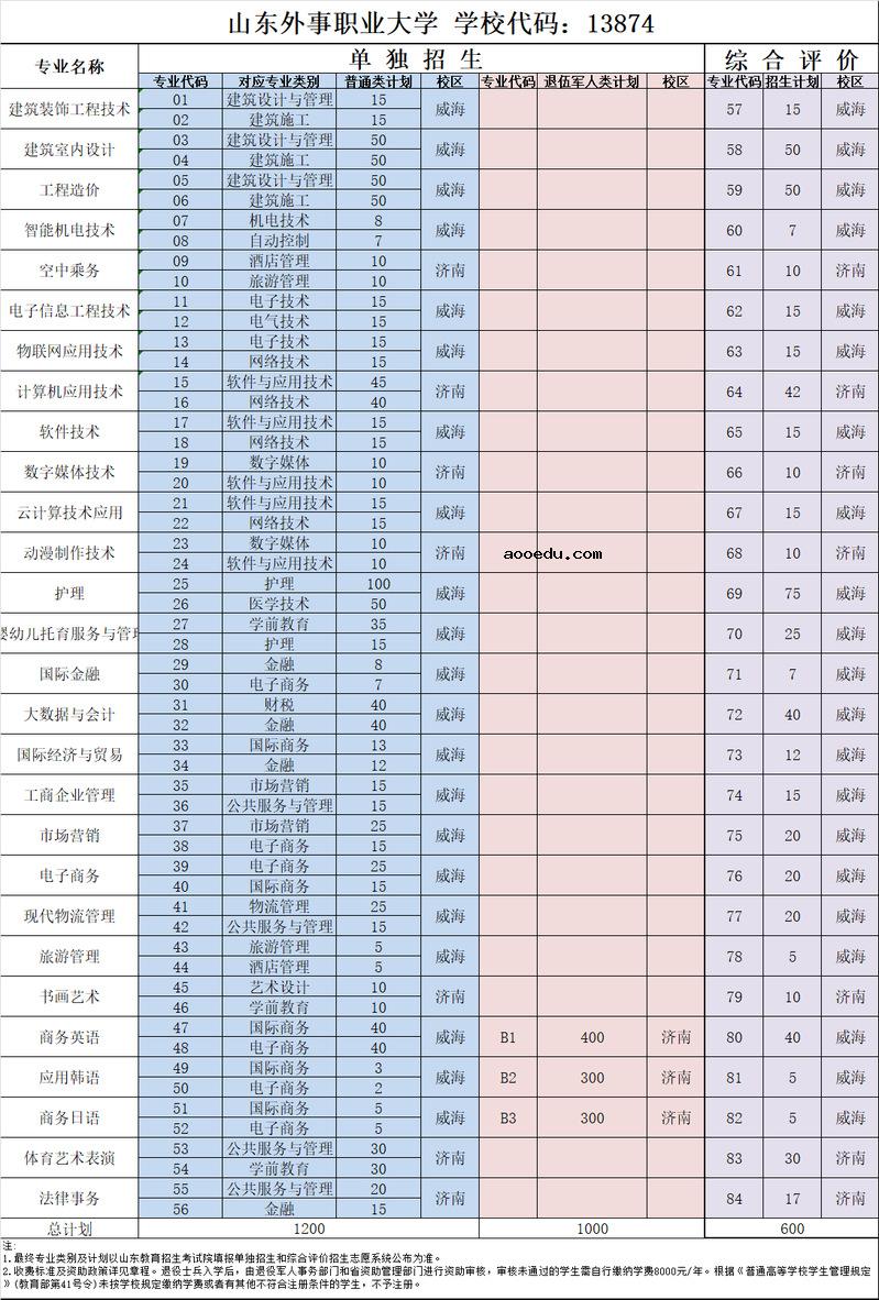 2022山东外事职业大学单招和综合评价招生专业及计划