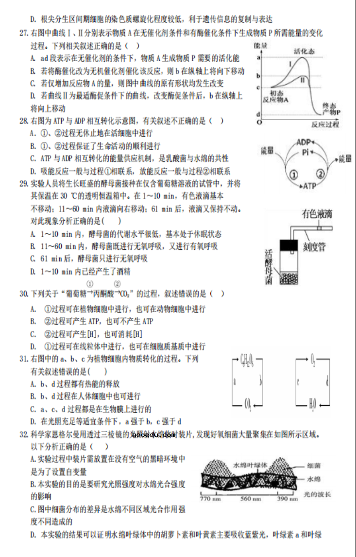 2022江西高考生物冲刺卷试题