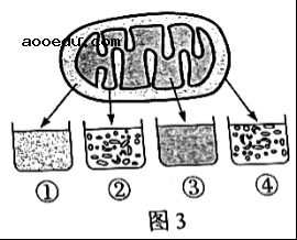 2022广东高考生物试题【word精校版】