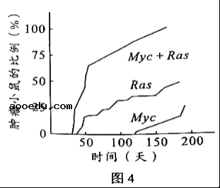 2022广东高考生物试题【word精校版】