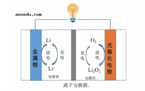 2022年陕西高考理综试题【word精校版】