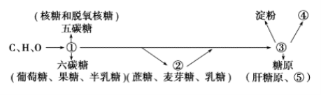 2022甘肃高考生物冲刺试卷