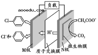 2022甘肃高考化学冲刺试卷