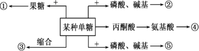 2022甘肃高考生物冲刺试卷