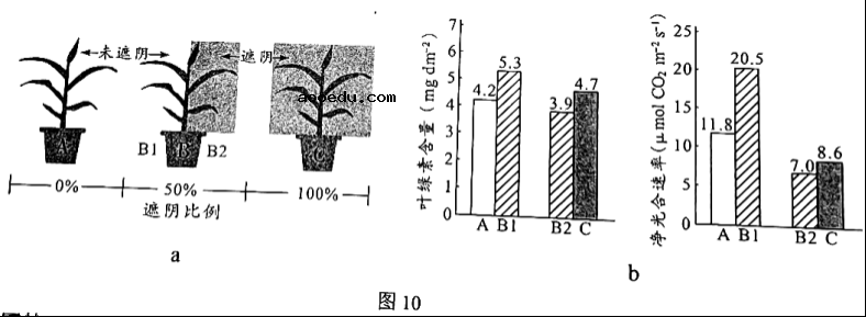 2022广东高考生物试题【word精校版】