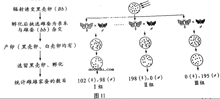 2022广东高考生物试题【word精校版】