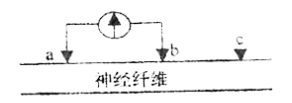 2022四川高考生物冲刺试卷及答案解析