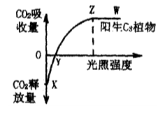 2022四川高考生物冲刺试卷及答案解析