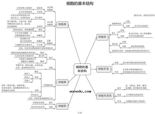 高中生物思维导图 如何学好生物知识