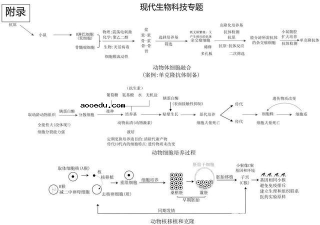 高中生物思维导图 如何学好生物知识