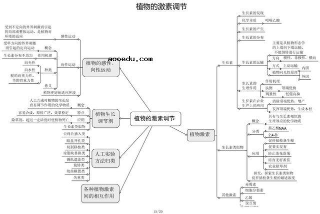 高中生物思维导图 如何学好生物知识