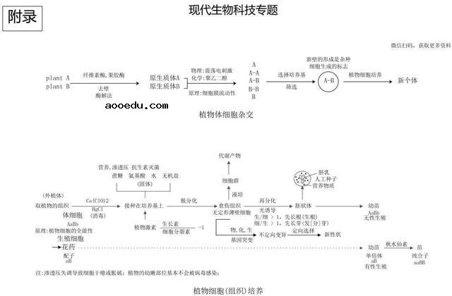 高中生物思维导图 如何学好生物知识