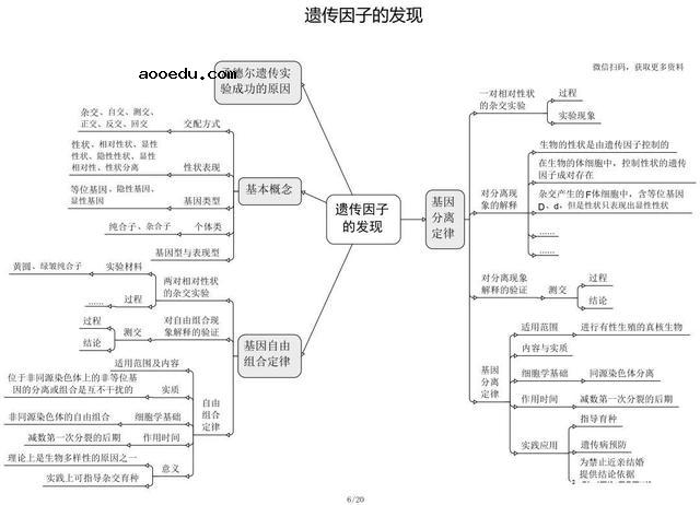 高中生物思维导图 如何学好生物知识