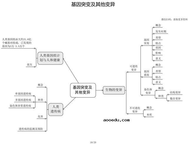 高中生物思维导图 如何学好生物知识