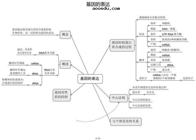 高中生物思维导图 如何学好生物知识